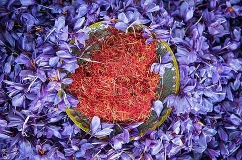 تصویر 4 از بهترین زعفران قائنات + قیمت خرید عالی